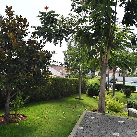 Villa Jasmineiro فونشال المظهر الخارجي الصورة