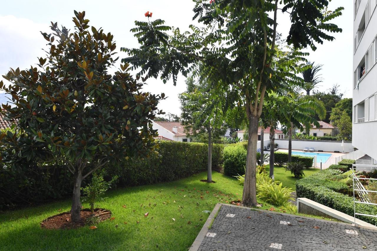 Villa Jasmineiro فونشال المظهر الخارجي الصورة